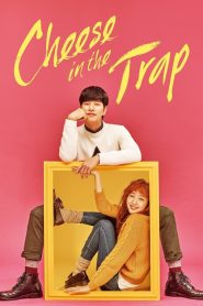 Cheese in the Trap (Queijo na Armadilha)