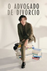 Divorce Attorney Shin (O Advogado de Divórcio)