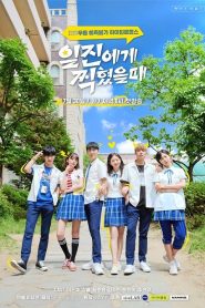 Best Mistake (Melhor Erro)