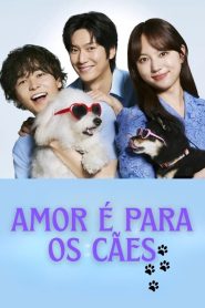 Love Is For The Dogs (Amor é Para os Cães)