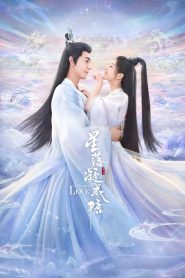 The Starry Love (O Amor Estrelado)