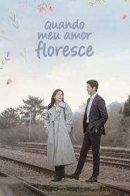 When My Love Blooms (Quando Meu Amor Floresce)