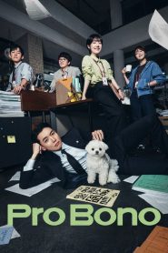 Pro Bono